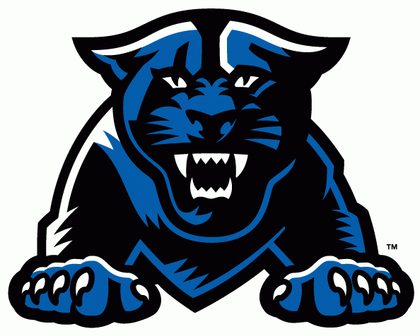 Georgia State Panthers 2010-Pres Partial Logo t shirts iron on transfers